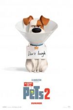 Watch The Secret Life of Pets 2 M4ufreemovies