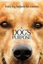 Watch A Dog's Purpose M4ufreemovies