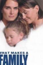 Watch What Makes a Family M4ufreemovies