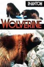 Watch National Geographic Phantom Wolverine M4ufreemovies