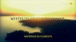 Watch Mysteries of the Rainforest M4ufreemovies