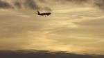 Watch The Man Who Fell from the Sky M4ufreemovies