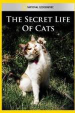 Watch National Geographic The Secret Life of Cats M4ufreemovies