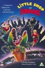 Watch Little Shop of Horrors M4ufreemovies