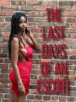 Watch The Last Days of an Escort M4ufreemovies