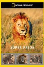 Watch National Geographic: Super Pride Africa\'s Largest Lion Pride M4ufreemovies