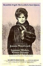 Watch Summer Wishes, Winter Dreams M4ufreemovies