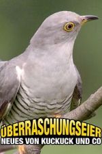 Watch Überraschungseier: Neues von Kuckuck und Co. M4ufreemovies