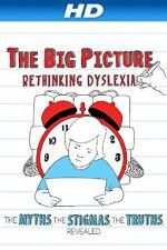 Watch The Big Picture Rethinking Dyslexia M4ufreemovies