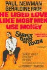 Watch Sweet Bird of Youth M4ufreemovies