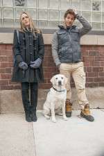 Watch Who Gets the Dog? M4ufreemovies