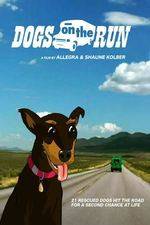 Watch Dogs on the Run M4ufreemovies