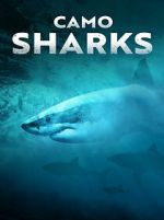 Watch Camo Sharks M4ufreemovies