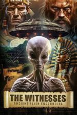 Watch The Witnesses: Ancient Alien Encounters M4ufreemovies