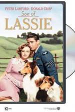 Watch Son of Lassie M4ufreemovies