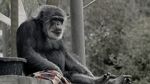Watch Cobby: The Other Side of Cute M4ufreemovies