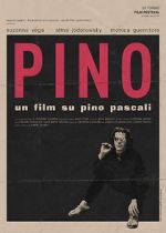 Watch Pino M4ufreemovies