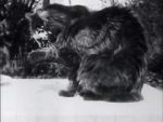 Watch Le déjeuner du chat M4ufreemovies