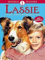 Watch Lassie: A New Beginning M4ufreemovies