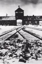 Watch AUSCHWITZ: CORRUPTION M4ufreemovies