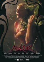 Watch Asche M4ufreemovies