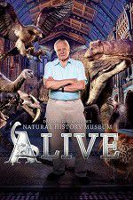 Watch David Attenborough\'s Natural History Museum Alive M4ufreemovies