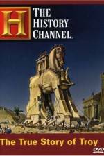 Watch The True Story of Troy M4ufreemovies