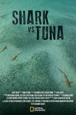 Watch Shark vs Tuna M4ufreemovies