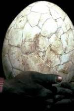 Watch Attenborough And The Giant Egg M4ufreemovies