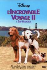 Watch Homeward Bound II Lost in San Francisco M4ufreemovies