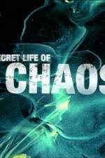 Watch The Secret Life of Chaos M4ufreemovies