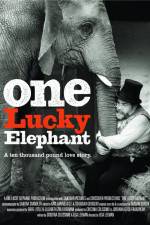 Watch En lycklig elefant M4ufreemovies