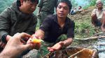 Watch Hallucinogen Honey Hunters (Short 2011) M4ufreemovies