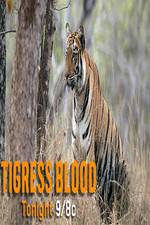 Watch Discovery Channel-Tigress Blood M4ufreemovies