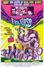 Watch Scream Free! M4ufreemovies
