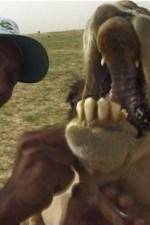 Watch With the Nomads M4ufreemovies