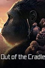 Watch Out of the Cradle M4ufreemovies