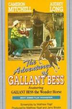 Watch Adventures of Gallant Bess M4ufreemovies