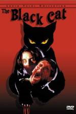 Watch Black Cat M4ufreemovies
