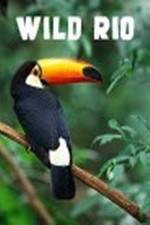 Watch Wild Rio M4ufreemovies