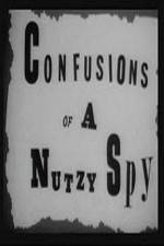 Watch Confusions of a Nutzy Spy M4ufreemovies