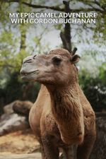 Watch My Epic Camel Adventure with Gordon Buchanan M4ufreemovies