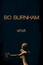 Watch Bo Burnham: what. M4ufreemovies
