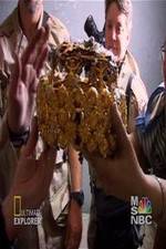 Watch Iraq's Lost Treasure M4ufreemovies
