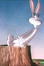 Watch The Unruly Hare M4ufreemovies