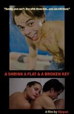 A Shrink A Flat & A Broken Key