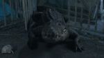 Watch Croc! M4ufreemovies