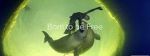Watch Born to Be Free M4ufreemovies