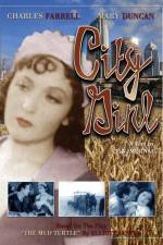 Watch Die Frau aus Chicago M4ufreemovies