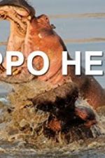 Watch Hippo Hell M4ufreemovies